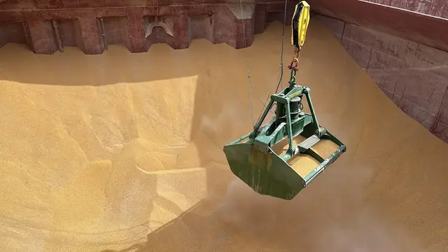 Grab suspended over bulk cargo in the hold
