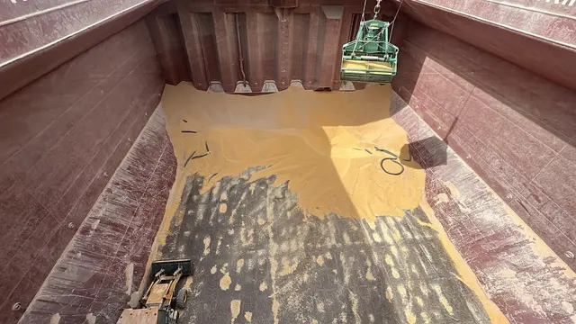 Bulk hold nearly emptied at the end of discharge