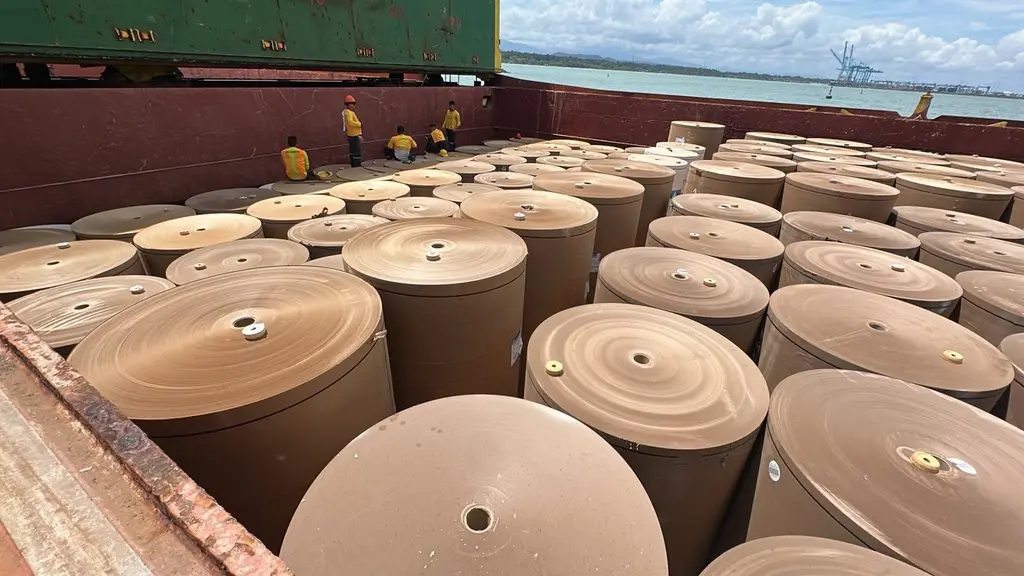Paper rolls stowed in a cargo hold, with the sea in the background