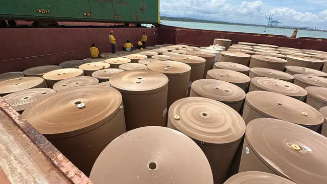 Paper rolls stowed in a cargo hold, with the sea in the background